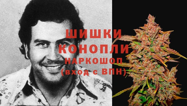 сатива Богданович