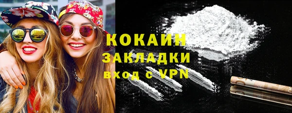 сатива Богданович