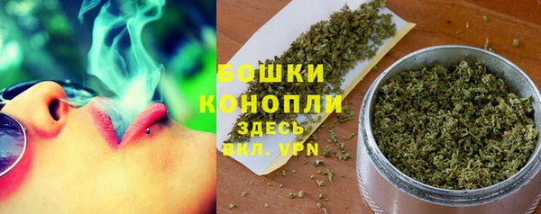 сатива Богданович