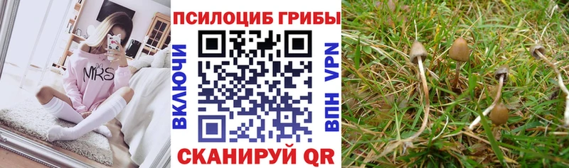 Псилоцибиновые грибы мухоморы  Наро-Фоминск 