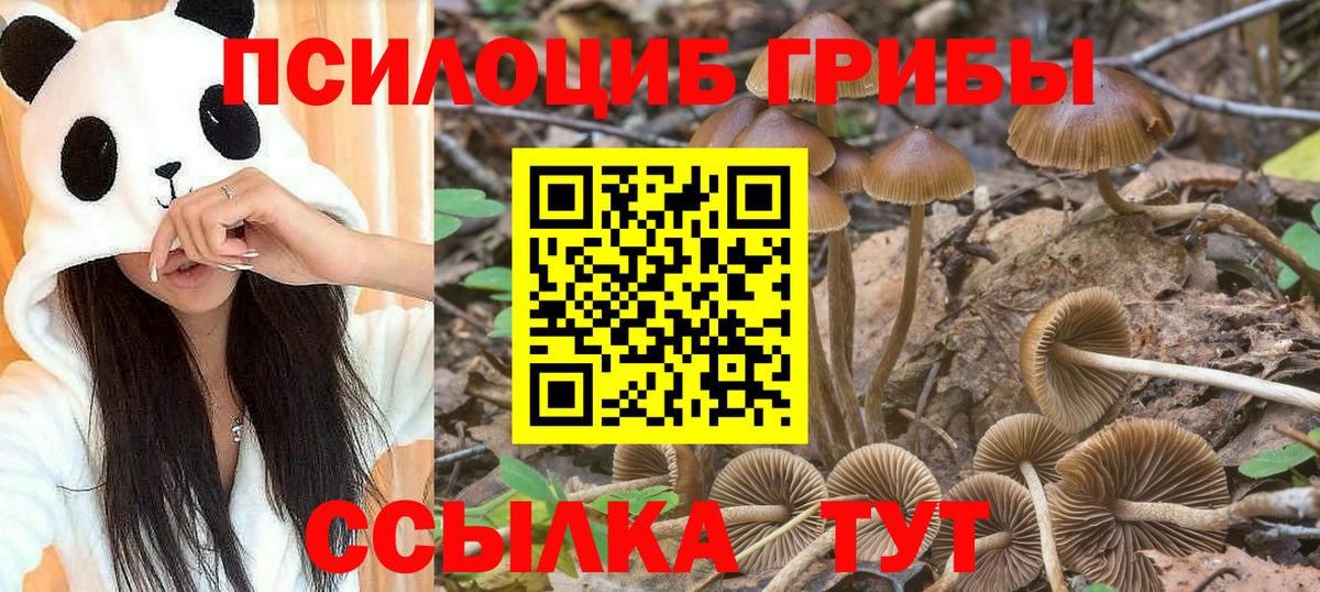 Галлюциногенные грибы прущие грибы Наро-Фоминск